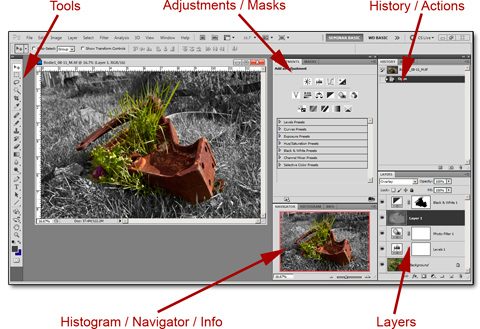 photoshop 101 extract image from background