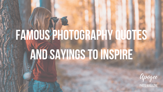 Famous Photography Quotes And Sayings To Inspire Apogee Photo Magazine
